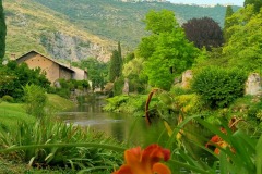 Ninfa-2025_2428018289494967693_n