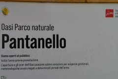 Pantanello-2025_1895768163762834070_n